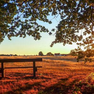 Finding Calm: Managing Fear and Anxiety