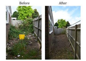 the photo shows a before picture of brambles on the left and an after picture on the right with no brambles after they have been cleared up