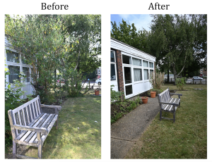 the photo shows a before picture of overgrown trees on the left, and an after picture on the right with no overgrown trees in sight